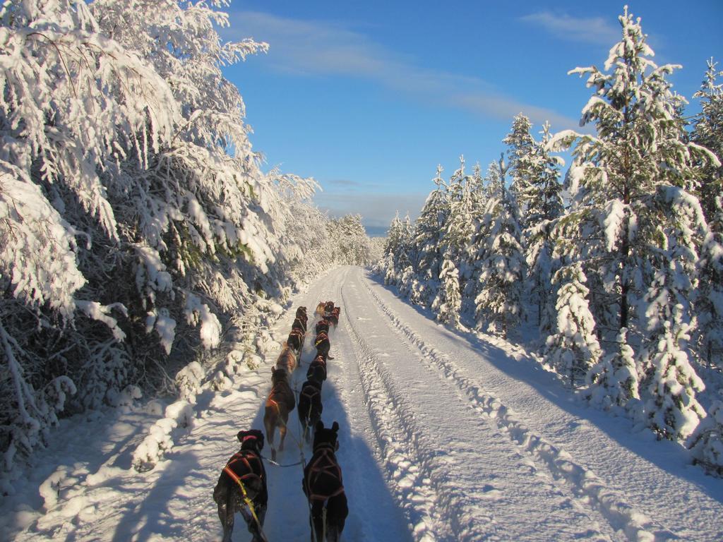 Affittacamere Ellis Garden Vemhån Esterno foto