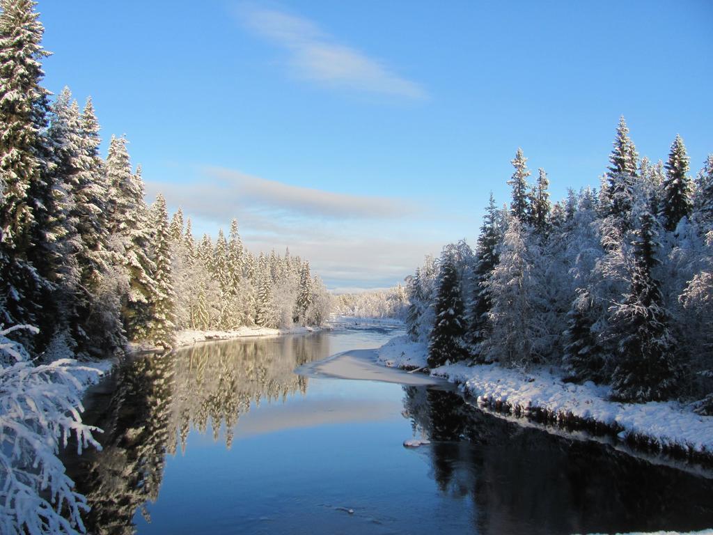 Affittacamere Ellis Garden Vemhån Esterno foto