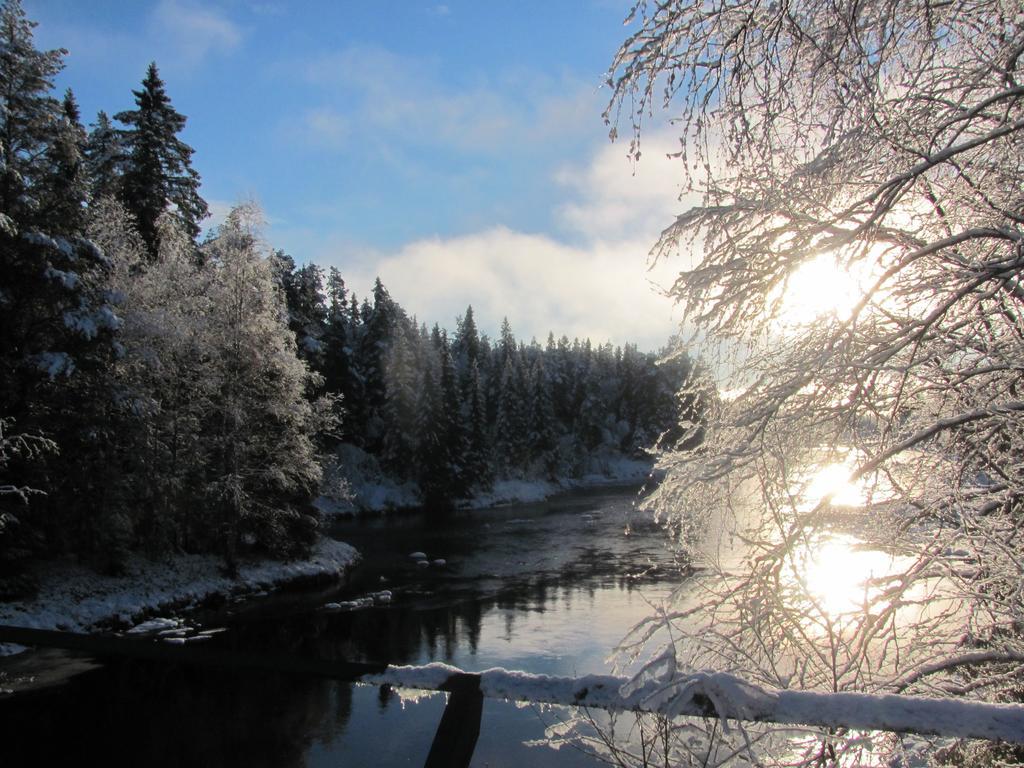 Affittacamere Ellis Garden Vemhån Esterno foto