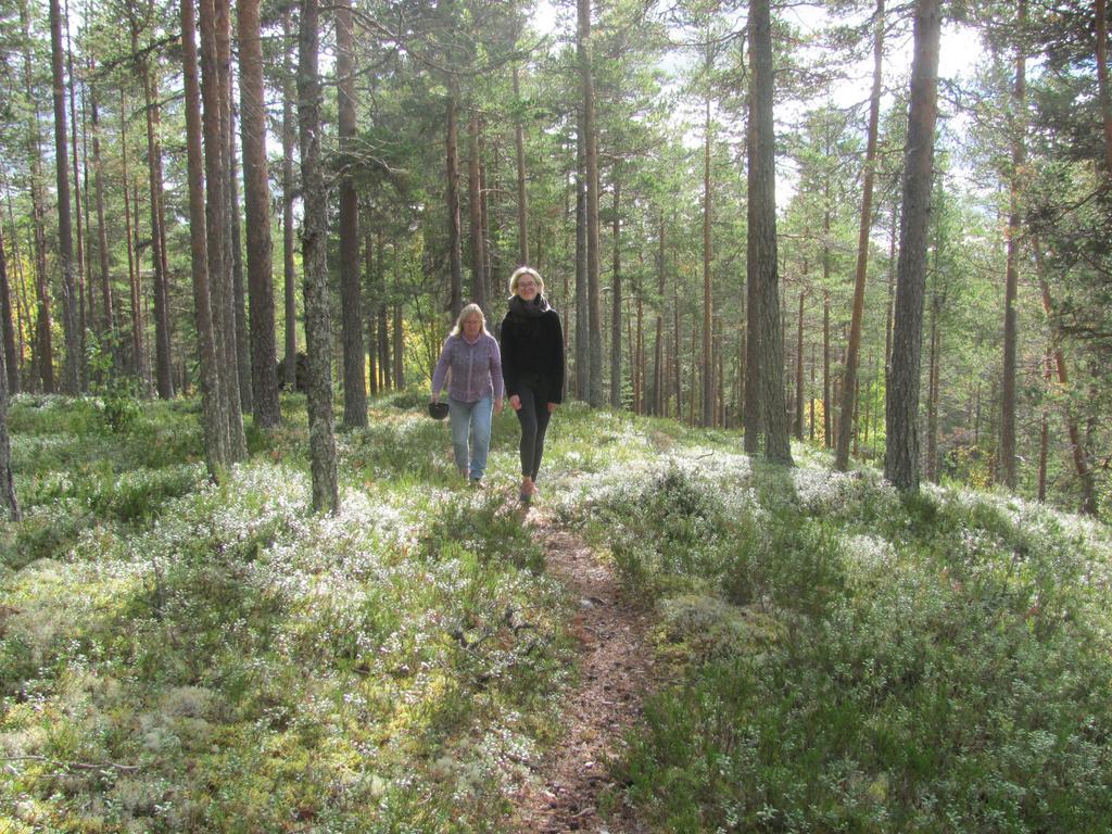 Affittacamere Ellis Garden Vemhån Esterno foto