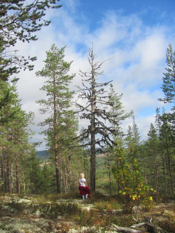 Affittacamere Ellis Garden Vemhån Esterno foto