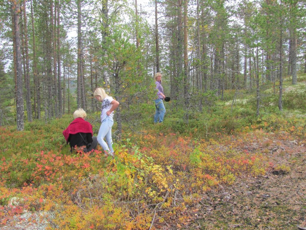 Affittacamere Ellis Garden Vemhån Esterno foto