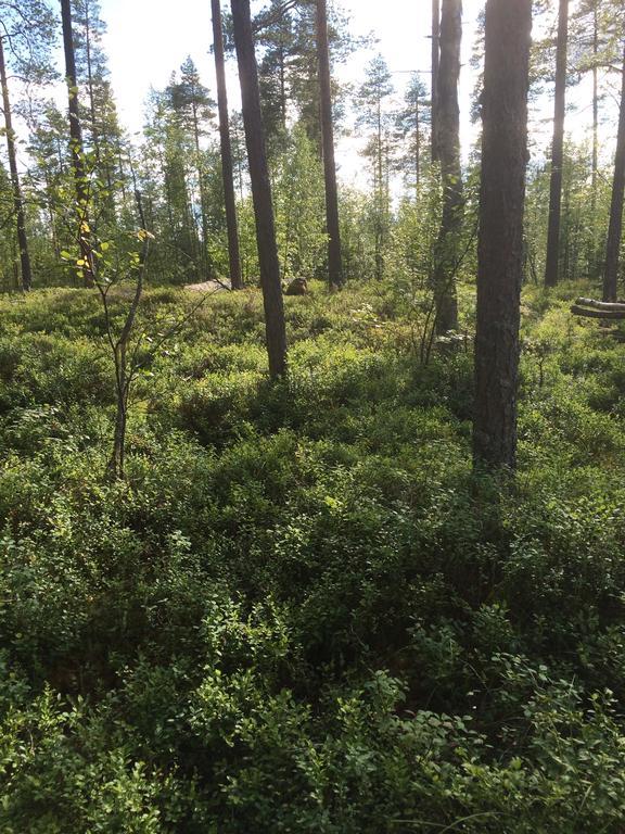 Affittacamere Ellis Garden Vemhån Esterno foto