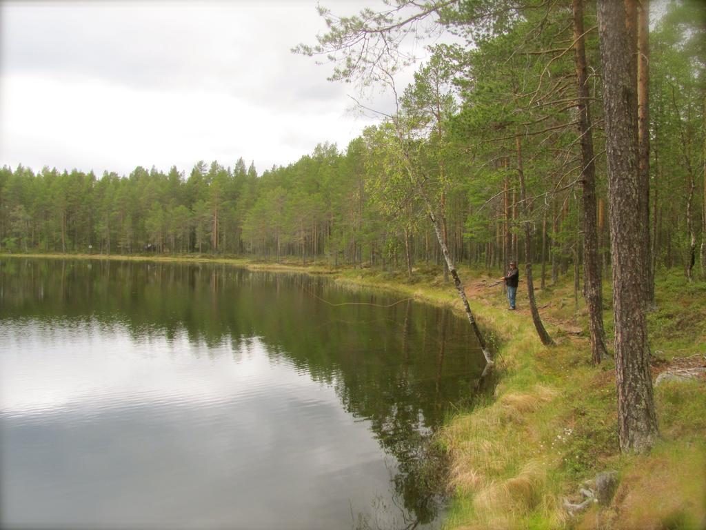Affittacamere Ellis Garden Vemhån Esterno foto