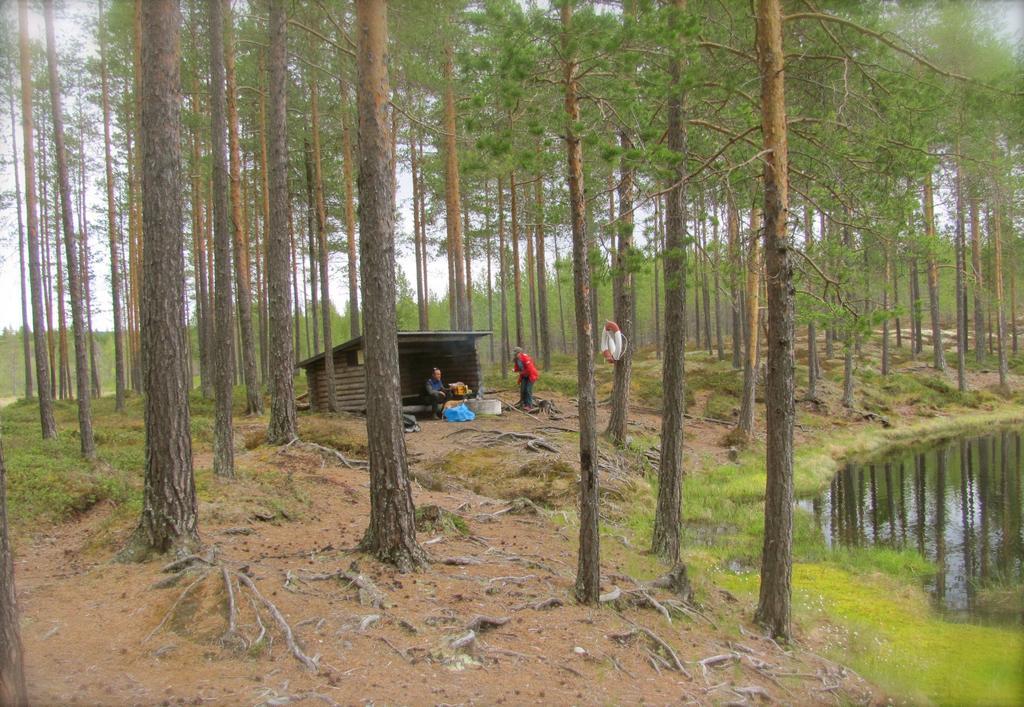 Affittacamere Ellis Garden Vemhån Esterno foto