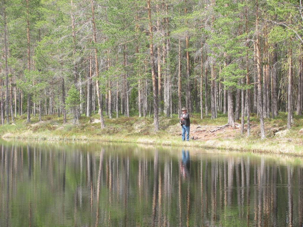 Affittacamere Ellis Garden Vemhån Esterno foto