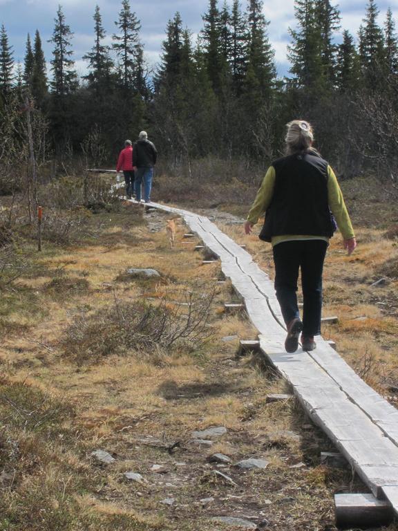 Affittacamere Ellis Garden Vemhån Esterno foto