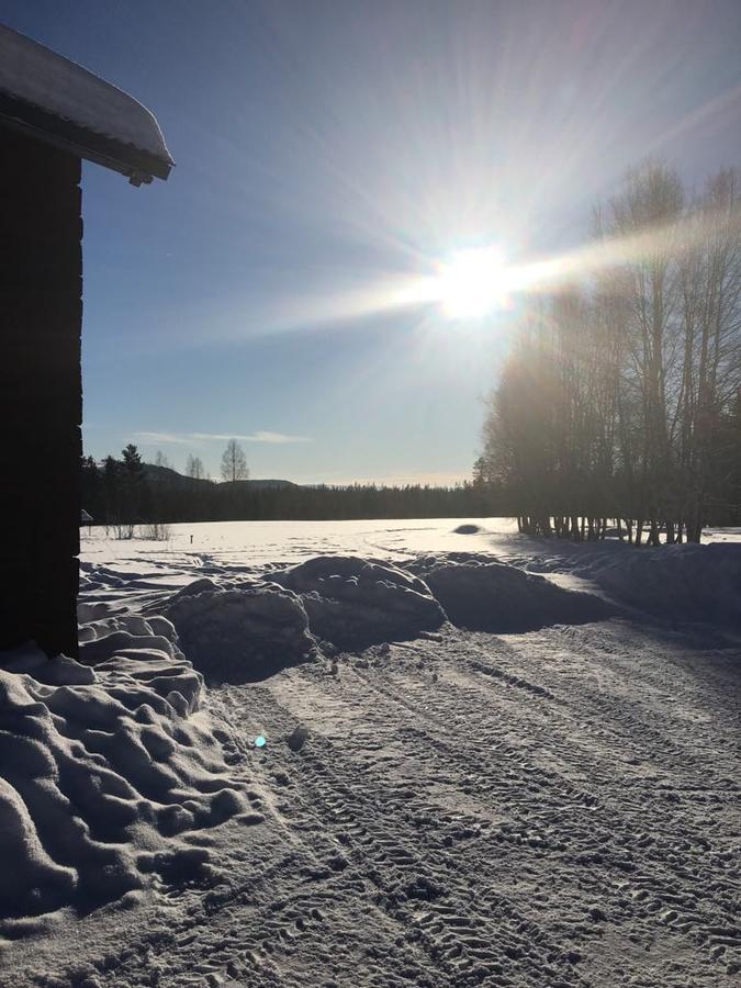 Affittacamere Ellis Garden Vemhån Esterno foto